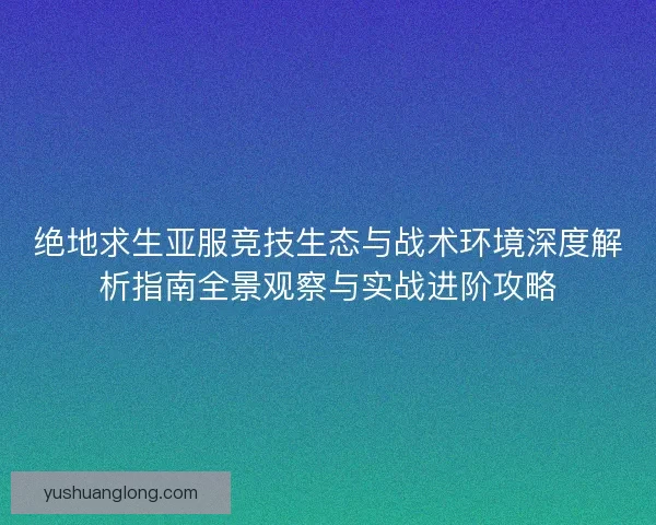 绝地求生亚服竞技生态与战术环境深度解析指南全景观察与实战进阶攻略
